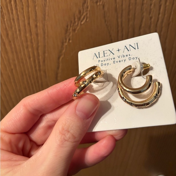 Alex and Ani Star Earrings - Picture 3 of 5